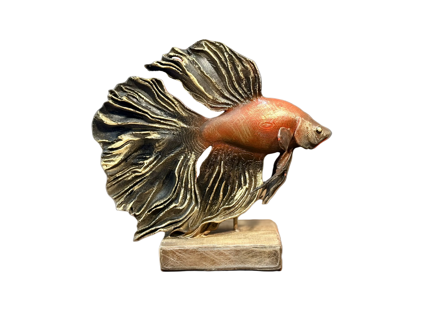 Flowing Betta