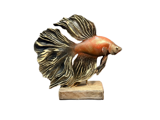 Flowing Betta